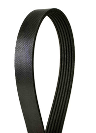 Metric Multi-V Belt - Contitech USA 6PK2285