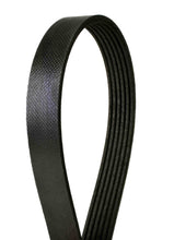 Load image into Gallery viewer, Metric Multi-V Belt - Contitech USA 6PK976