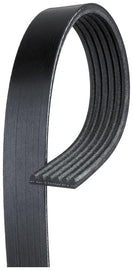 V-Ribbed Serpentine Belt - A.C. Delco 6K486