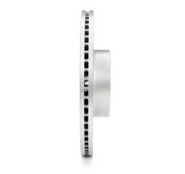 Bosch QuietCast Coated Brake Rotor (293 mm) - Bosch 48011475
