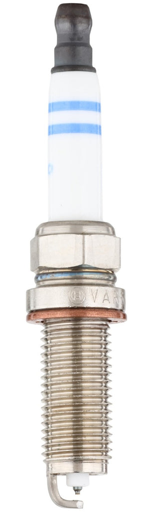 Bosch EVO Spark Plug - Bosch 8513