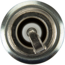 Load image into Gallery viewer, Bosch OE Fine Wire Double Iridium Spark Plug - Bosch Iridium 9613