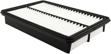 Load image into Gallery viewer, Panel Air Element - Baldwin Filters PA10025