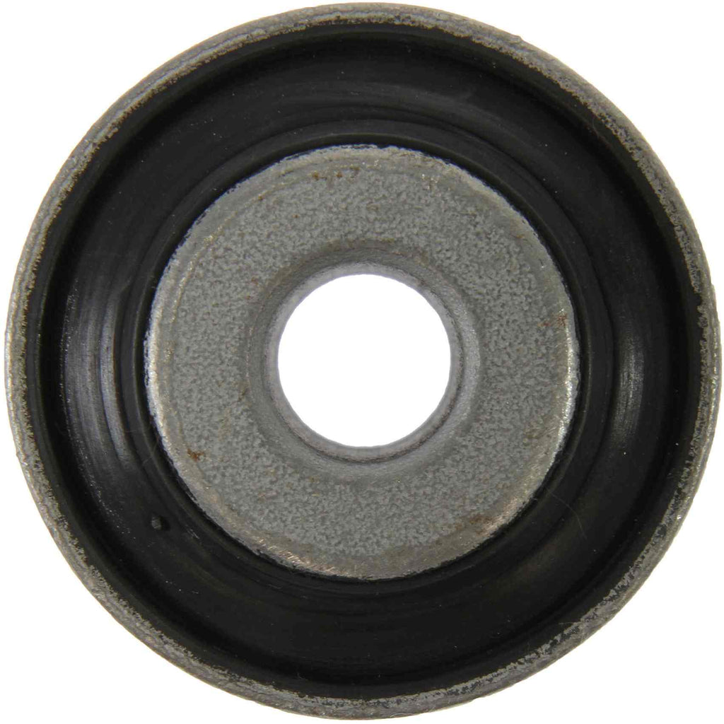 Control Arm Bushing, Front Lower Outer Forward - Centric Parts 602.45002