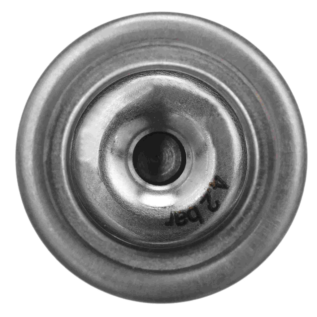 Fuel Injection Pressure Regulator - Delphi FP10530