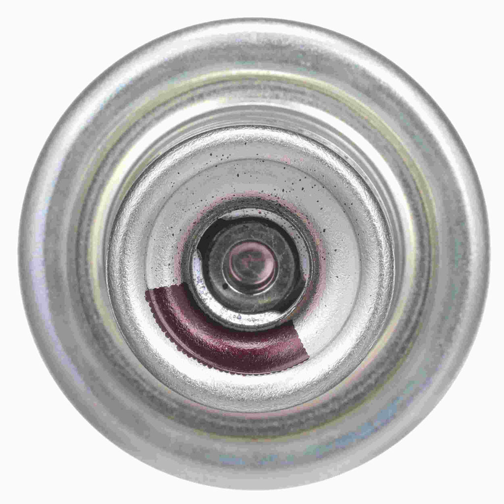 Fuel Injection Pressure Regulator - Delphi FP10666