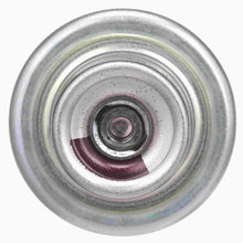 Load image into Gallery viewer, Fuel Injection Pressure Regulator - Delphi FP10666