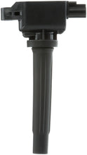 Load image into Gallery viewer, Ignition Coil - Delphi GN11127