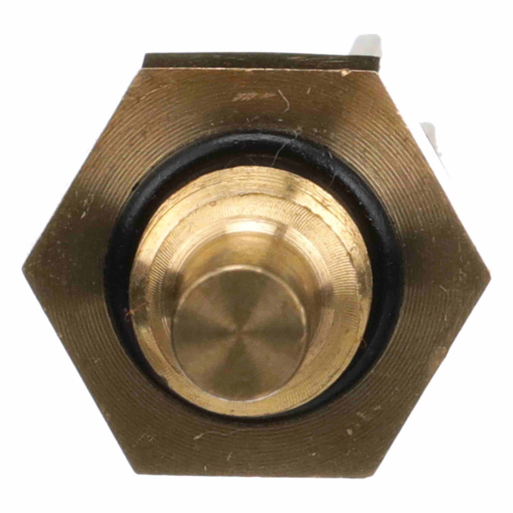 Engine Coolant Temperature Sensor - Delphi TS10288