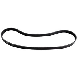 POLY RIB BELT, DAYCO - Dayco Belts/hoses 5060453