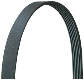 Drive Belts, Main Drive - Dayco Belts/hoses 5060495DR