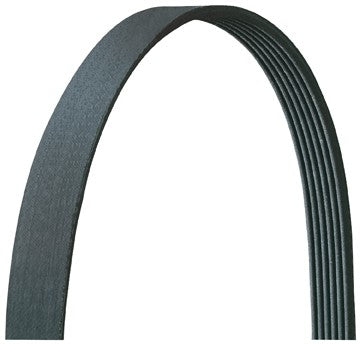 Drive Belts, Main Drive - Dayco Belts/hoses 5060910DR