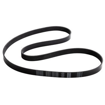 POLY RIB BELT, DAYCO - Dayco Belts/hoses 5070671