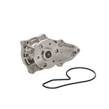 Load image into Gallery viewer, WATER PUMP-AUTO/LIGHT TRUCK, DAYCO - Dayco Belts/hoses DP1441
