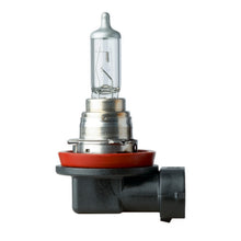 Load image into Gallery viewer, Bulb - Flosser 191219