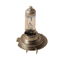 Load image into Gallery viewer, Bulb Set - Flosser 2070180