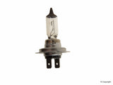 Headlight Bulb H7 55w - Flosser 2070 H7