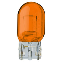Load image into Gallery viewer, Tail Light Bulb - Flosser 219007