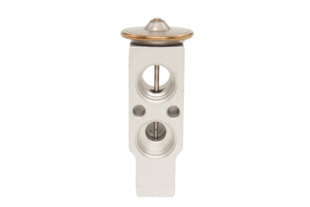 A/C Expansion Valve - Four Seasons 39301