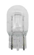 Load image into Gallery viewer, Tail Light Bulb - Hella 7440