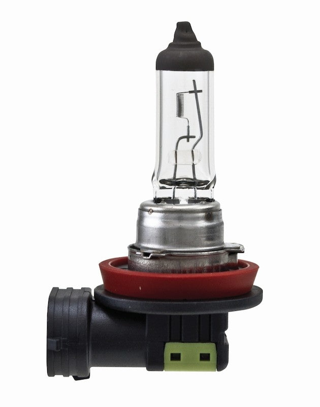 Fog Light Bulb, Front - Hella H11TB