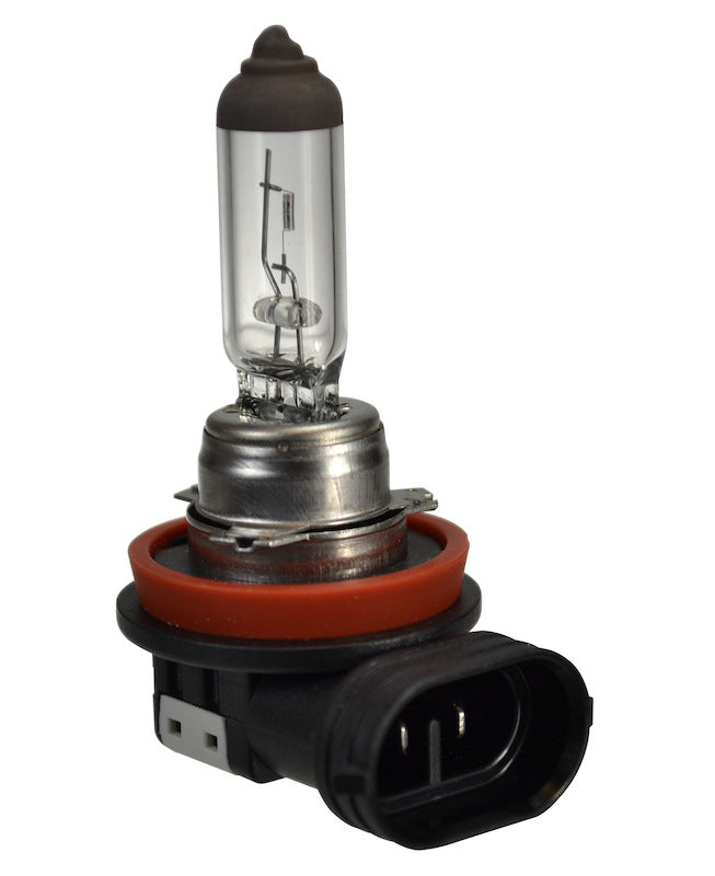 Fog Light Bulb - Hella H16