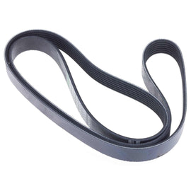 Accessory Belt - INA FB7K610