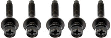 Load image into Gallery viewer, Wing Nut - Motormite 41085