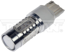 Load image into Gallery viewer, Reverse Light - Motormite 7440A-HP