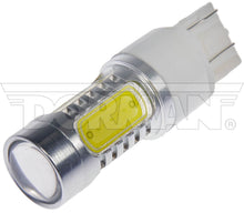 Load image into Gallery viewer, Tail Light - Motormite 7443W-HP
