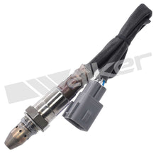 Load image into Gallery viewer, Walker Products 250-54066 Oxygen Sensor 4-W Air Fuel Ratio Wide-Band - Walker 250-54066