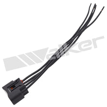 Load image into Gallery viewer, Walker Products 270-1082 Electrical Pigtail - Walker 270-1082