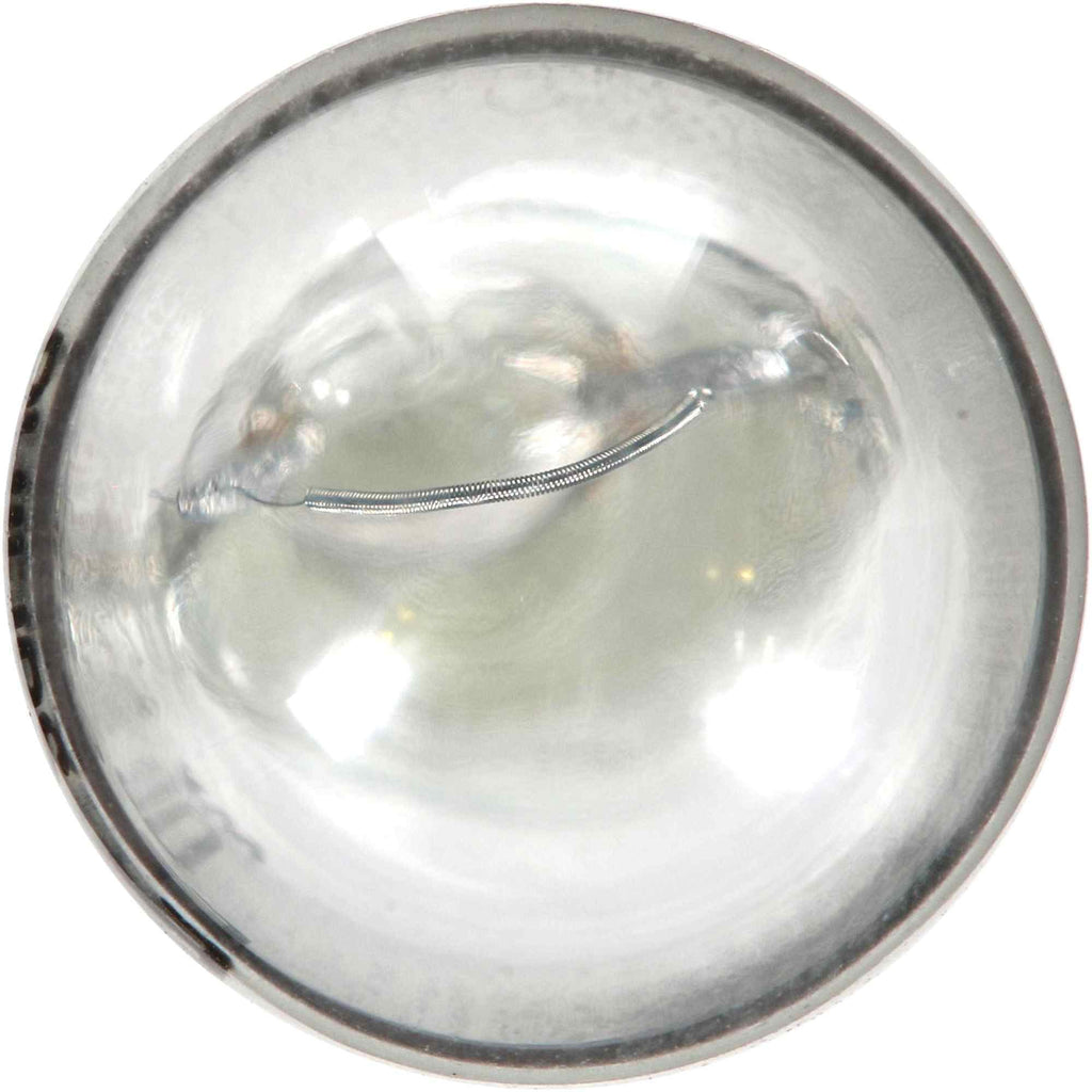 LongerLife Mini Bulb - Philips Lighting 158LLB2