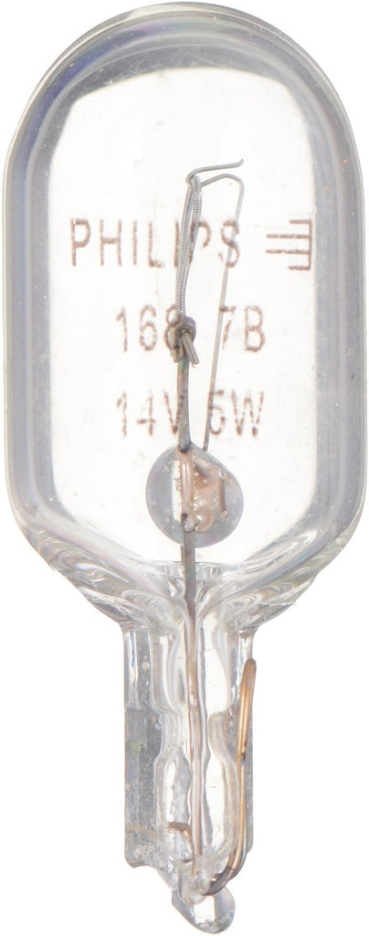 Courtesy Light Bulb - Philips Lighting 168CP