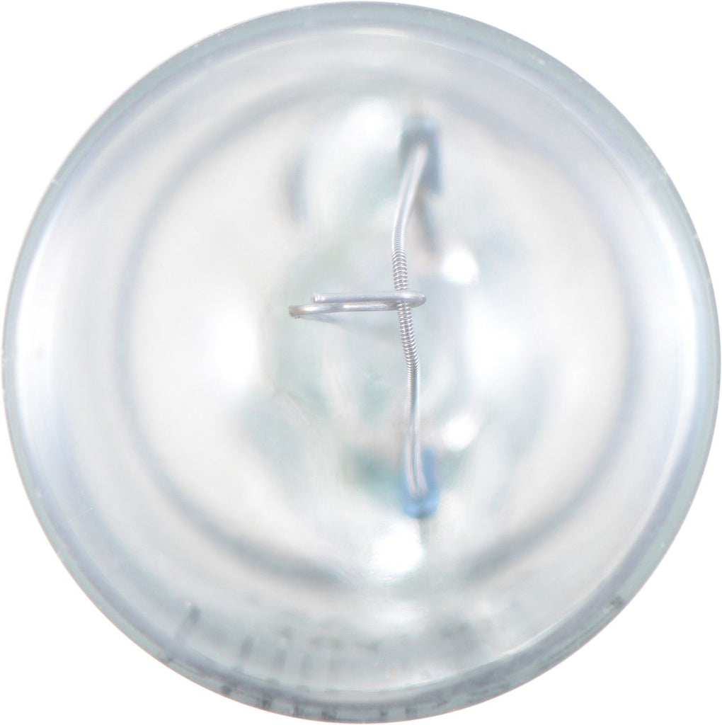 Trunk Light Bulb - Philips Lighting 194B2