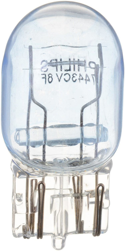 Brake Light Bulb - Philips Lighting 7443CVB2