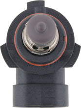 Load image into Gallery viewer, Fog Light Bulb, Front - Philips Lighting 9006B1