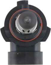 Load image into Gallery viewer, Fog Light Bulb, Front - Philips Lighting 9006PRB2