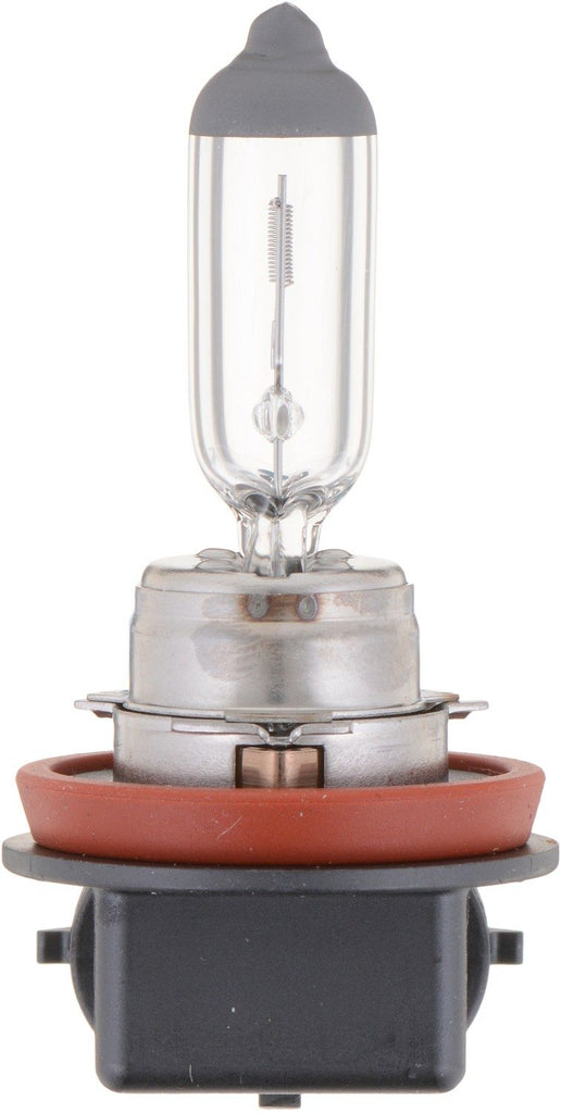 Fog Light Bulb, Front - Philips Lighting H11B1