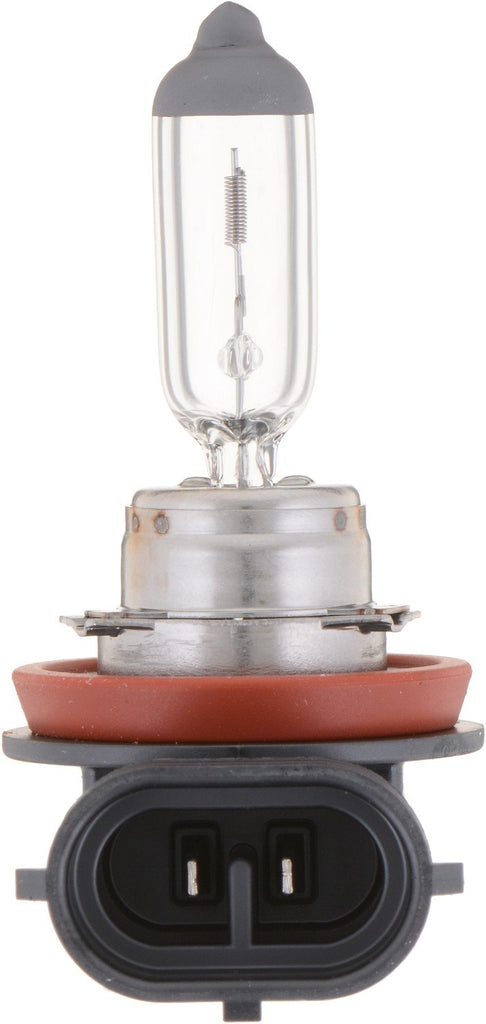 Fog Light Bulb, Front - Philips Lighting H11B1