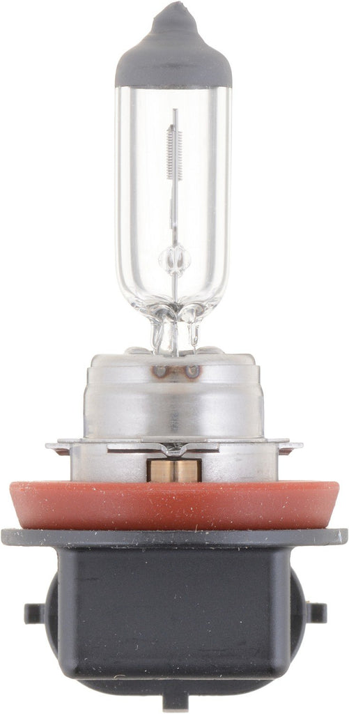 Fog Light Bulb, Front - Philips Lighting H11C1