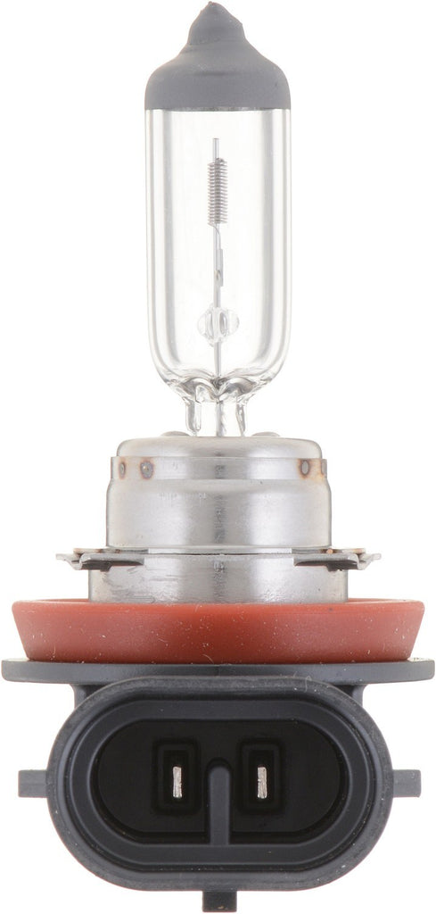Fog Light Bulb, Front - Philips Lighting H11C1