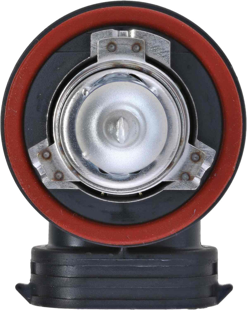 Fog Light Bulb, Front - Philips Lighting H11CVPB1
