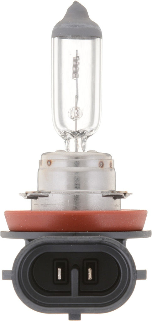Fog Light Bulb, Front - Philips Lighting H11LLC1