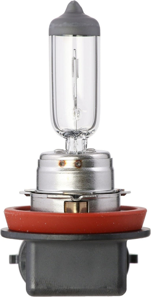 Fog Light Bulb, Front - Philips Lighting H11MDC1