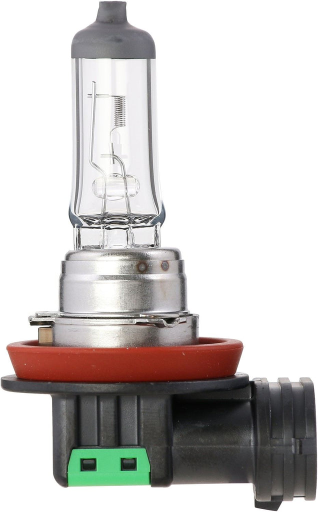 Fog Light Bulb, Front - Philips Lighting H11MDC1