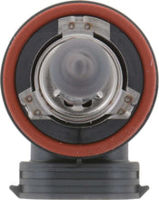 Load image into Gallery viewer, Fog Light Bulb, Front - Philips Lighting H11PRB2