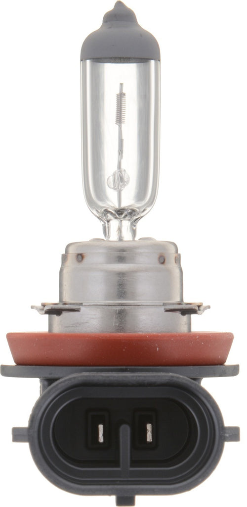 Fog Light Bulb, Front - Philips Lighting H11VPB2