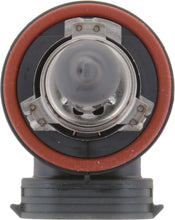 Load image into Gallery viewer, Fog Light Bulb, Front - Philips Lighting H11VPB2