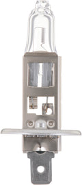Headlight Bulb, Low Beam - Philips Lighting H1B1